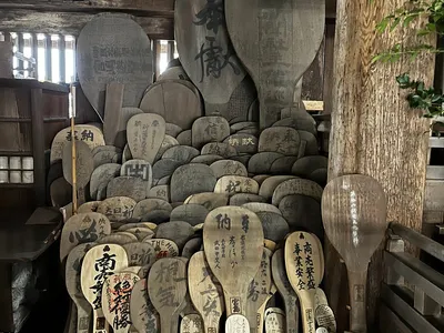 Miyajima Deer