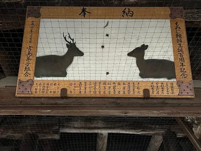 Miyajima Forest Path