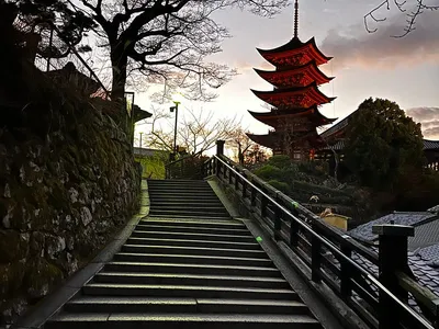 Miyajima Lanterns
