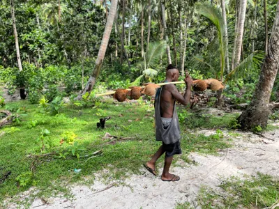 A person carries a pole along a sandy path through the palms.