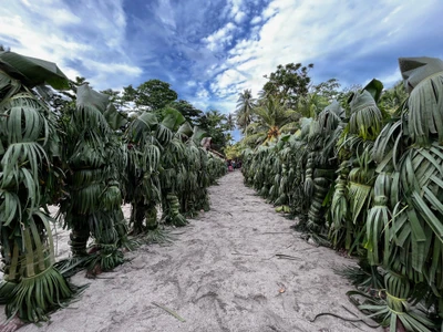 A procession in green leaf coverings moves beneath a blue sky.